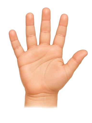 Una mano ilustrada del tablero Partes del cuerpo de gugiboard